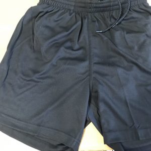 navy PE shorts